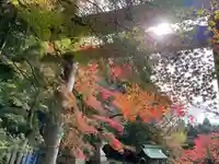 胡宮神社(敏満寺史跡)(滋賀県)