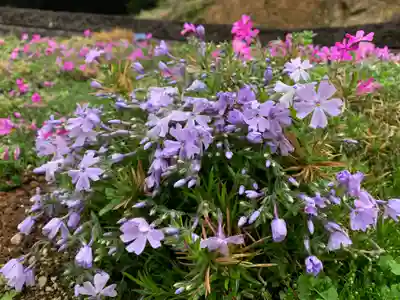 普門寺(切り絵御朱印発祥の寺)(愛知県)