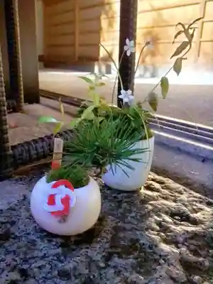 陽運寺(東京都)