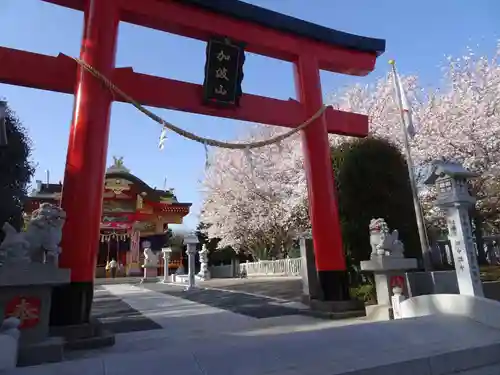 加波山神社真壁拝殿の鳥居