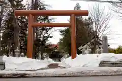 真龍神社の鳥居