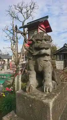 龍泉寺の狛犬