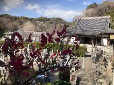 来迎寺（西御門）(神奈川県)
