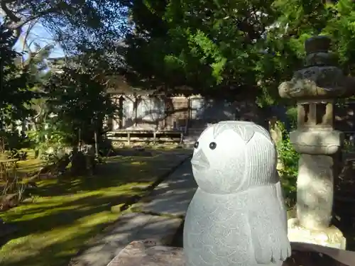 かっぱの寺 栖足寺の狛犬