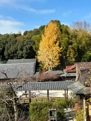 八事山 興正寺(愛知県)