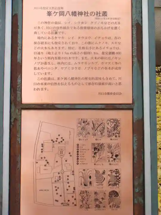 峯ヶ岡八幡神社の歴史