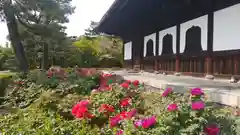 建仁寺（建仁禅寺）の本殿