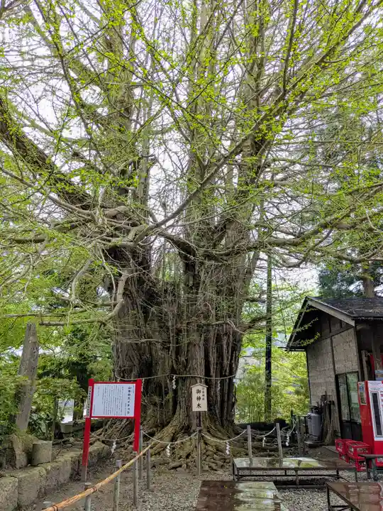 山寺日枝神社(山形県)