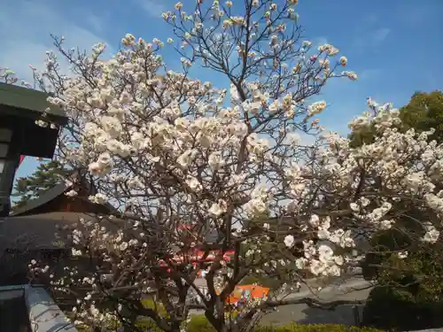 高幡不動尊　金剛寺の自然