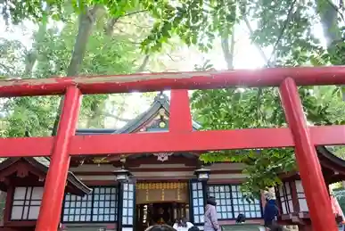 武蔵一宮氷川神社の鳥居