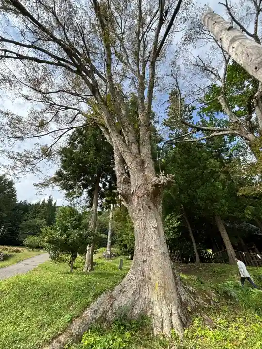 諏訪大社上社前宮(長野県)