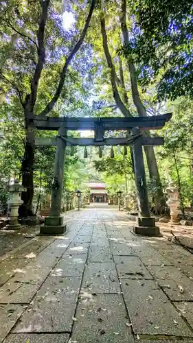 駒木諏訪神社の鳥居