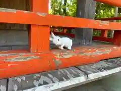 三輪神社(岐阜県)