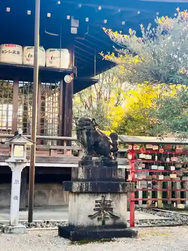 京都乃木神社の狛犬