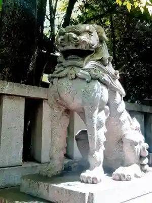 渋谷氷川神社の狛犬