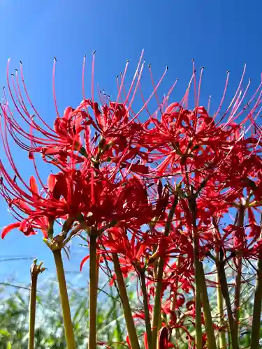 瑠璃寺(長野県)