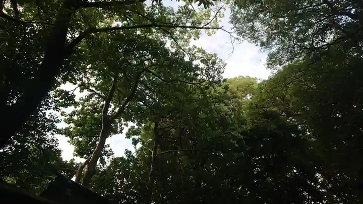 尾張大國霊神社(国府宮)の自然