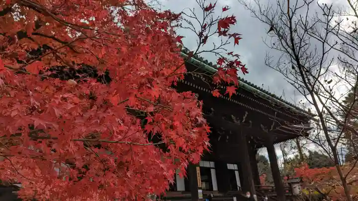 真正極楽寺(真如堂)(京都府)