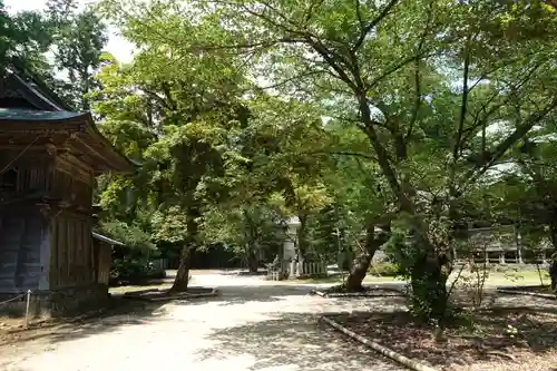 松尾寺の庭園