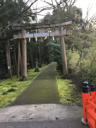 舟津神社の鳥居