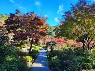 三室戸寺(京都府)