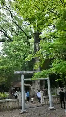 伊弉諾神宮(兵庫県)