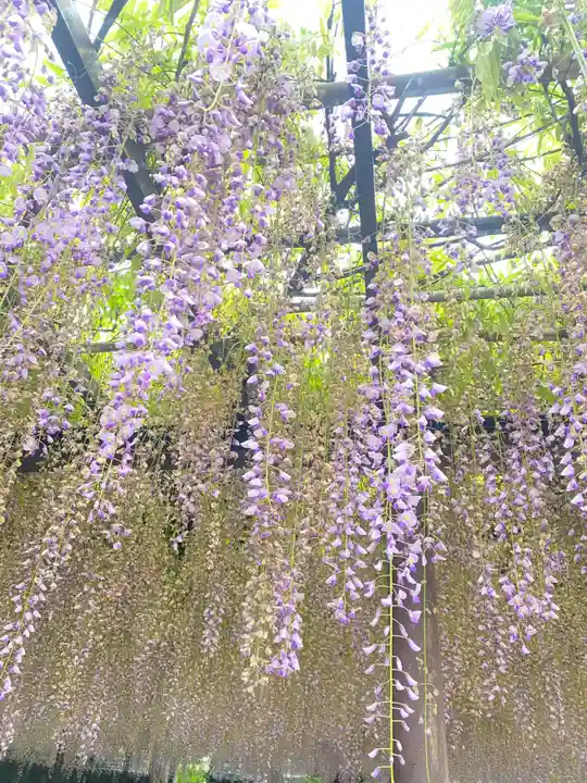 潮音寺(愛知県)