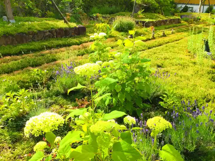 寿量山 速成寺(奈良県)