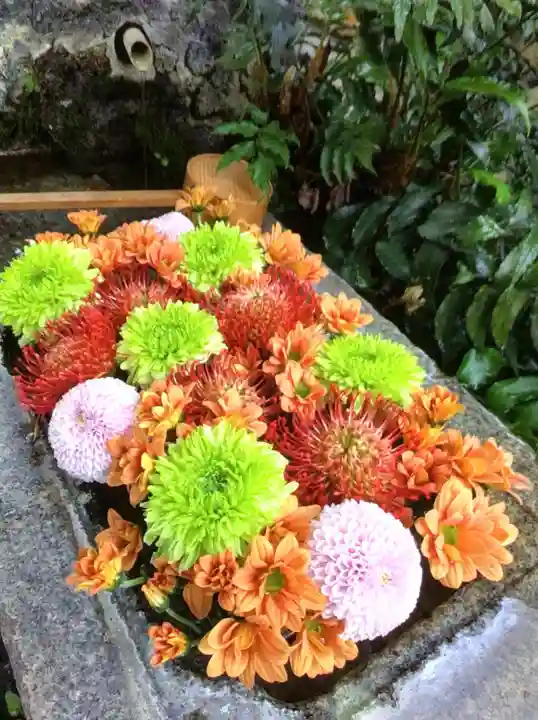 本郷氷川神社(東京都)