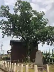 手力雄神社(岐阜県)