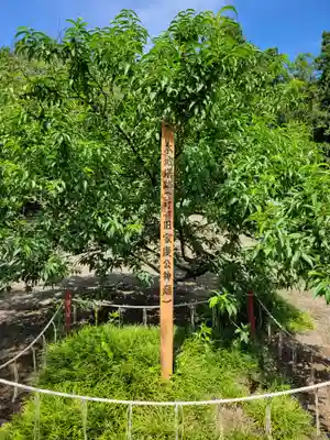 世良田東照宮(群馬県)