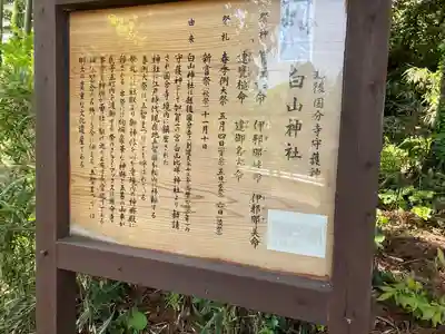 白山神社(新潟県)