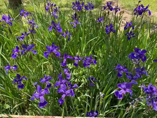 春日大社(奈良県)