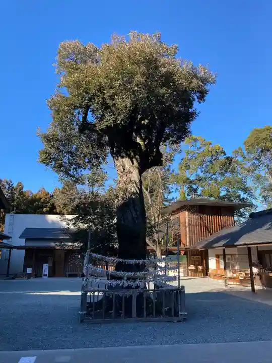 井伊谷宮(静岡県)