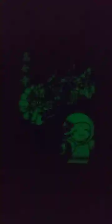 高台寺(高台寿聖禅寺・高臺寺)の御朱印帳