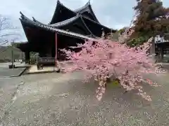 粉河寺(和歌山県)