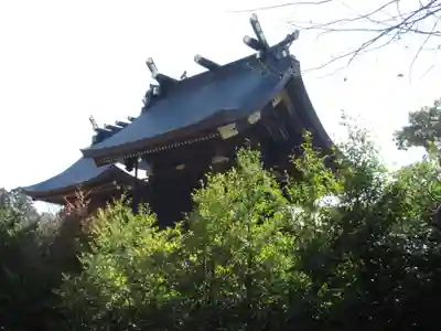 鷲宮神社の本殿・本堂