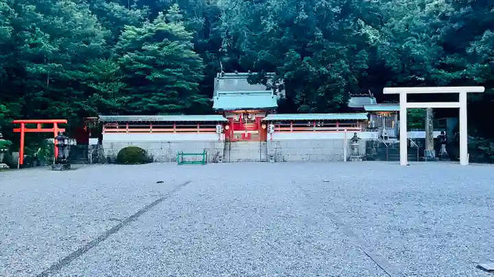 勝浦八幡神社の本殿・本堂