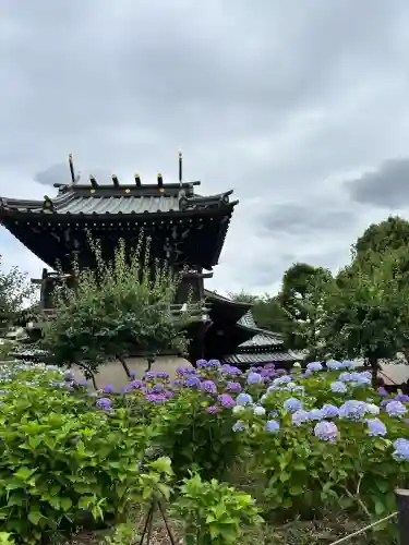 白山神社(東京都)