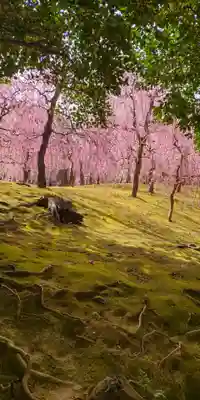 城南宮(京都府)