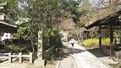 宗像神社の自然