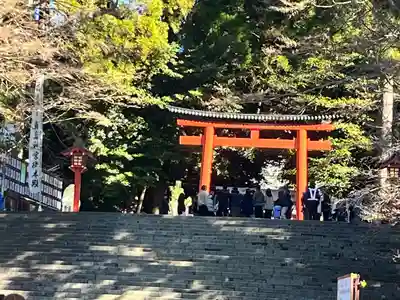 霧島神宮(鹿児島県)