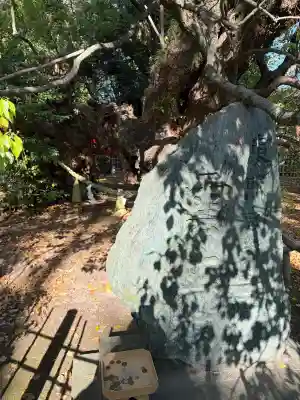 浜松八幡宮の{uncategorized: "未分類", other: "その他", undefined: "問題あり", building: "その他建物", grave: "お墓", sacred_gate: "鳥居", guardian: "狛犬", statue: "像", buddha: "仏像", history: "歴史", nature: "自然", garden: "庭園", animal: "動物", pagoda: "塔", temizu: "手水舎", mountain_gate: "山門・神門", sanctuary: "本殿・本堂", subordinate: "末社・摂社", art: "芸術", scenery: "景色", jizo: "地蔵", ema: "絵馬", goshuin: "御朱印", omikuji: "おみくじ", items: "授与品その他", amulet: "お守り", goshuincho: "御朱印帳", eats: "食事", festival: "お祭り", votive_dance: "神楽", shichigosan: "七五三参", wedding: "結婚式", experience: "体験その他", initially: "初詣", around: "周辺", anti_infection: "感染症対策"}