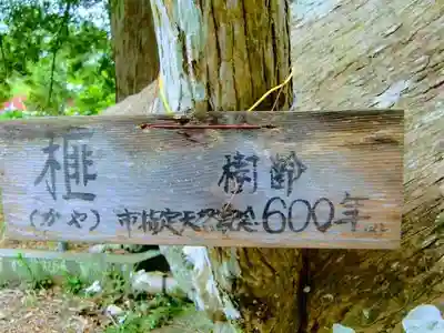 日運寺(千葉県)