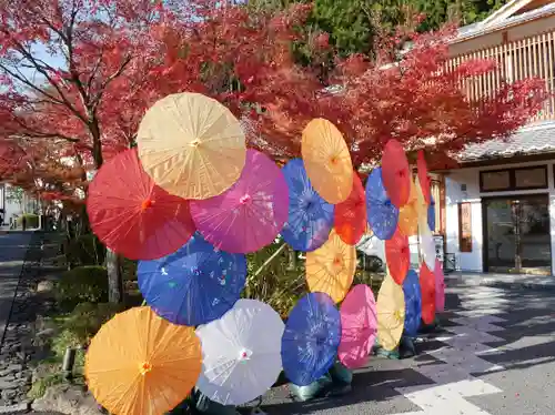 宝徳寺の景色