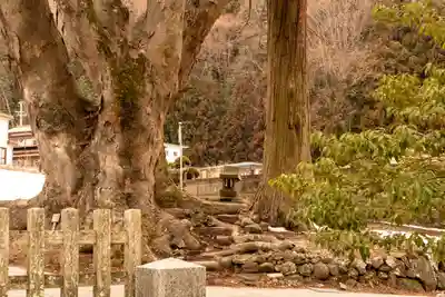 諏訪大社上社前宮(長野県)