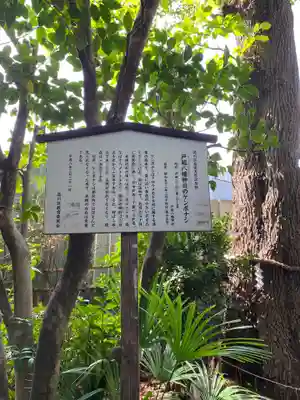 戸越八幡神社(東京都)