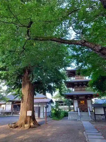 恵隆寺(立木千手観音)のその他建物