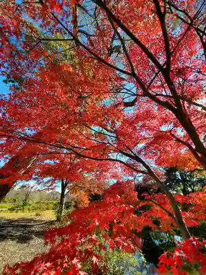 緑水神社の自然