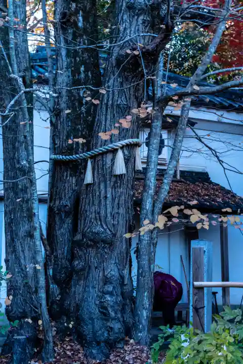 梨木神社(京都府)
